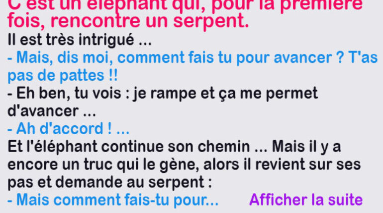 Quand un jeune éléphant pose des questions..