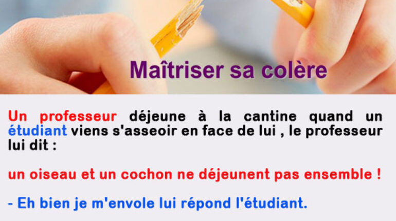 Quand un oiseau s’envole et laisse un C0CHON à terre..