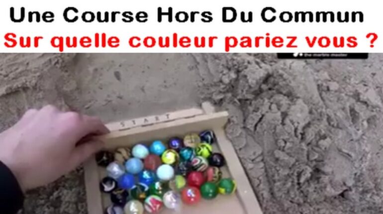 Une course hors du commun, Sur quelle couleur pariez vous ?