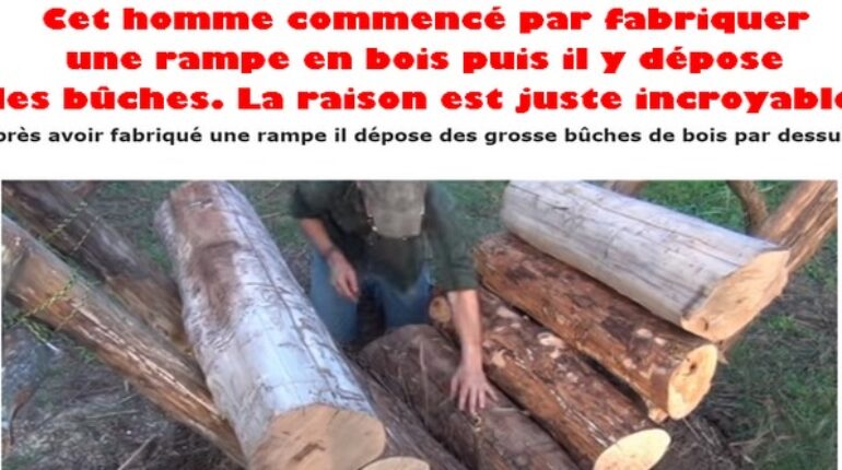 Une superbe technique de survie dans la nature !