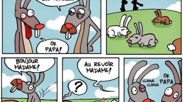 Chez les lapins : Le grand jour de l’apprentissage