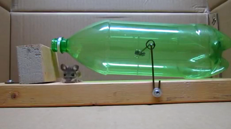 Cet homme a inventé un piège à souris très sympa..