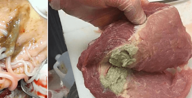 image viande