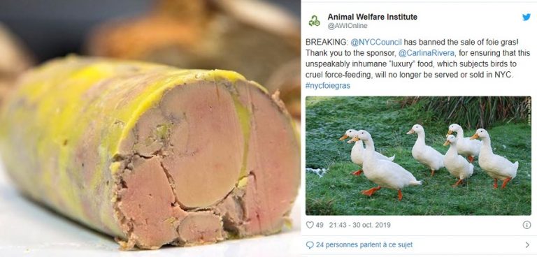 foisgras2
