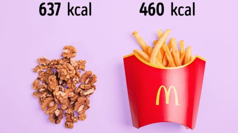 Vous allez remplir votre assiette intelligemment grâce à cette comparaison entre aliments alimentation variee boire de l'eau calorique journalier compter diète Kcal prendre du poids regime alimentaire relax santé famille santé femme santé France santé mentale santé nutrition santé relaxe santé sécurité sport