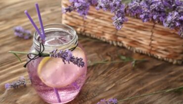 citron huile essentielle de lavande l'univers cosmétique L’anxiété les maux de tête limonade limonade à base de lavande plante préparation relaxation sirop de lavande