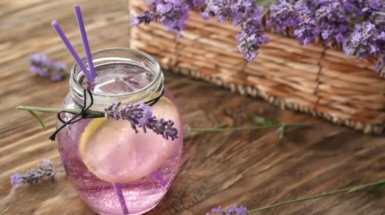 Voici une limonade à base de lavande, un remède efficace contre les maux de tête et l’anxiété. citron huile essentielle de lavande l'univers cosmétique L’anxiété les maux de tête limonade limonade à base de lavande plante préparation relaxation sirop de lavande