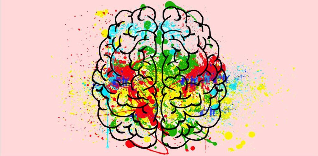 cerveau humain