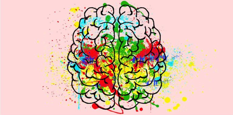 cerveau humain