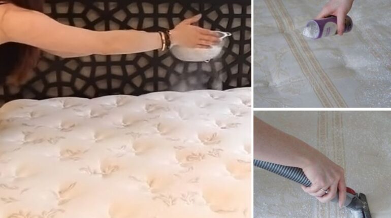 Voici pourquoi il ne faut pas ignorer les innombrables utilisations du bicarbonate de soude à savoir astuces Bain de bouche bicarbonate de soude Déodorant Éliminer les tâches d'huile idées innombrables utilisations jardin Laver des aliments Machine à laver maison Nettoyer des tapis et moquettes Nettoyer un matelas Pâte à modeler résoudre les problème Shampoing sec Traiter la mycose du pied verser sur le lit