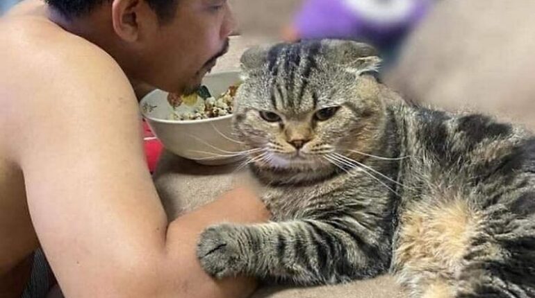 Ce chat a volé le mari de sa propriétaire. Voici les preuves en photos ! 22 Cette femme Des regards de « scarface il est à moi Jarvis lui a volé son mari Pas touche photos hilarantes son chat Un chat très câlin…