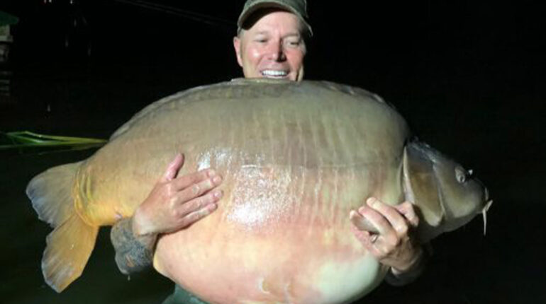 Hongrie : Un homme pêche une énorme carpe de 51 kilos 51 kg Britannique carpe divers faits divers grosses carpes Hongrie lac Leicester Michel Schoenmakers Néerlandais pêcheur record du monde