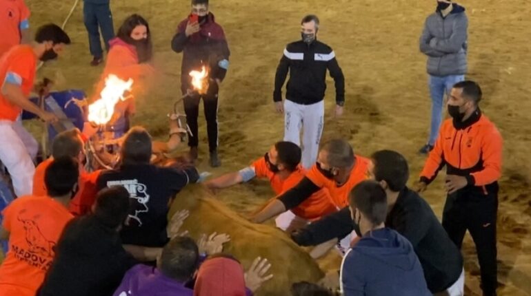 En Espagne, la vidéo d’un taureau aux cornes enflammées fait réagir les défenseurs de la cause animale animal de compagnie animaux animaux charmants aux cornes enflammées suscitent Confort conseils anxiété diet drole Espagne idées Instagram la cause animale les images d’un taureau santé santé famille santé femme santé France santé nutrition santé relaxe santé sécurité uscitent l'indignation des défenseurs de la cause animale