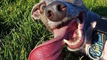20 photos qui vont vous mettre de bonne humeur !