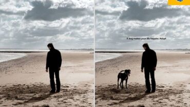 17 publicités comme on l’avait jamais vu auparavant !
