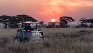Les pays les plus merveilleux d’Afrique à visiter en 2021