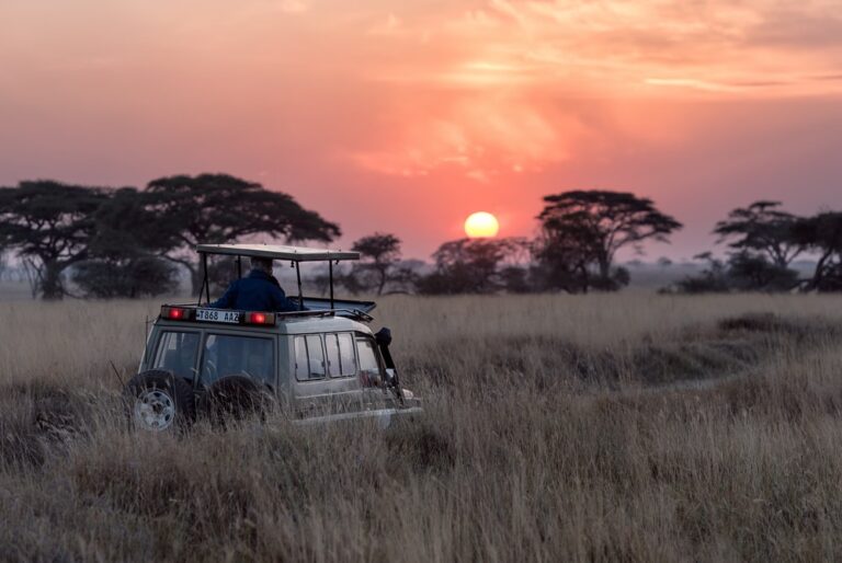 Afrique