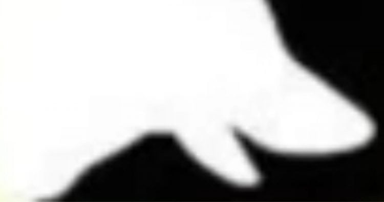 Cette image avec des