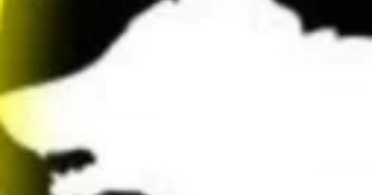 Cette image avec des