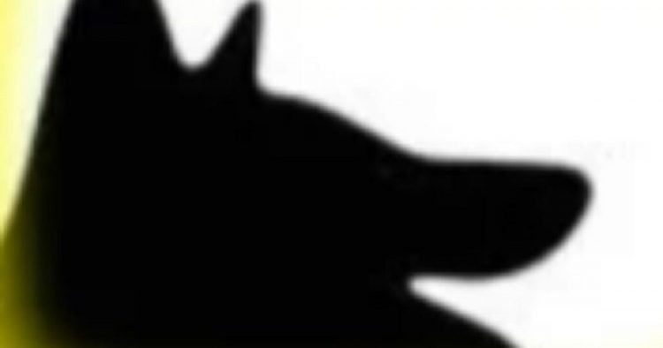 Cette image avec des