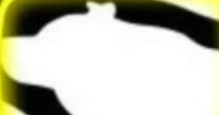 Cette image avec des