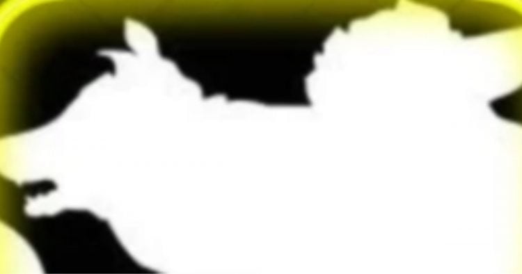 Cette image avec des