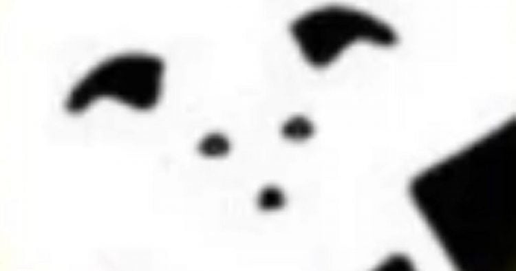 Cette image avec des