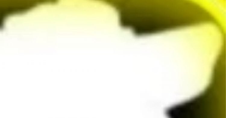 Cette image avec des