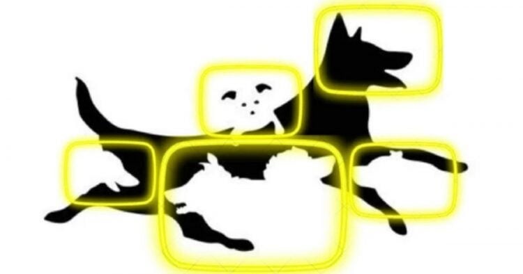 Cette image avec des