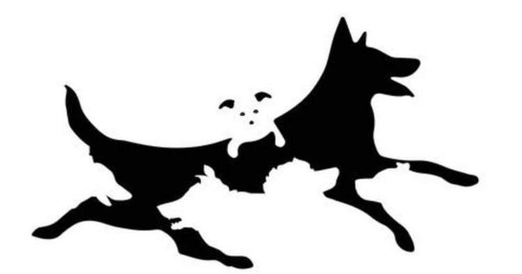 Cette image avec des