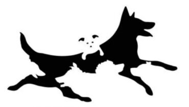 Test Psychologique : Cette Image de Chiens Révèle Votre Âge Mental Réel !