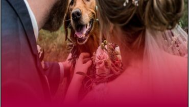 adieu adieu mystique amour animal cérémonie chien fidèle colombe dernier geste église émotion histoire émouvante larmes mariage mariée présence éternelle Rex