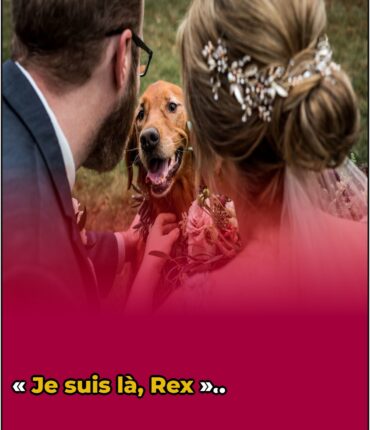 Un mariage pas comme les autres : quand le chien de la famille devient l&rsquo;acteur principal