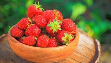 astuce grand-mère bienfaits fraise congélation fraises conserver fraises fraîcheur fraises fruits rouges gaspillage alimentaire papier absorbant recettes fraises saison fraises santé tartes fraises vinaigre blanc vitamines