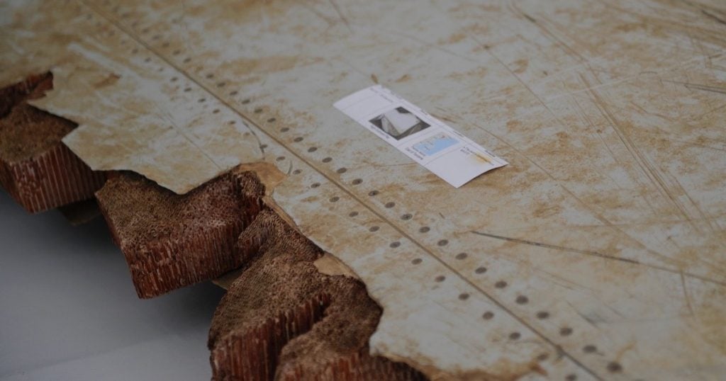 Wetenschappers hebben ontdekt