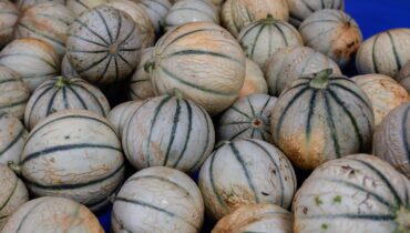 Attention : « Ne consommez pas ces melons » – un rappel massif lancé à cause de…