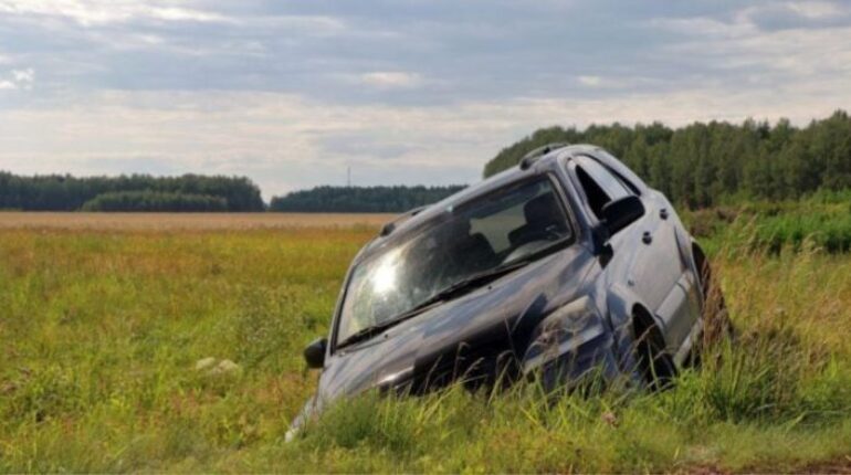 Peur panique au volant : elle termine dans le fossé après avoir vu une araignée accident Morbihan accident route arachnophobie araignée voiture conseils auto faits divers France guêpe accident panique conduite peur des insectes sécurité au volant