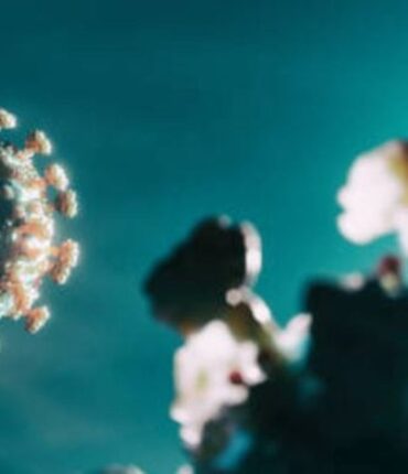 Covid-19 : 4 ans après la vaccination, ces symptômes persistent (la liste s’aggrave)