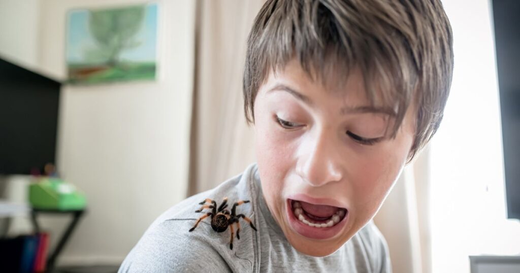 Effrayée par une araignée,