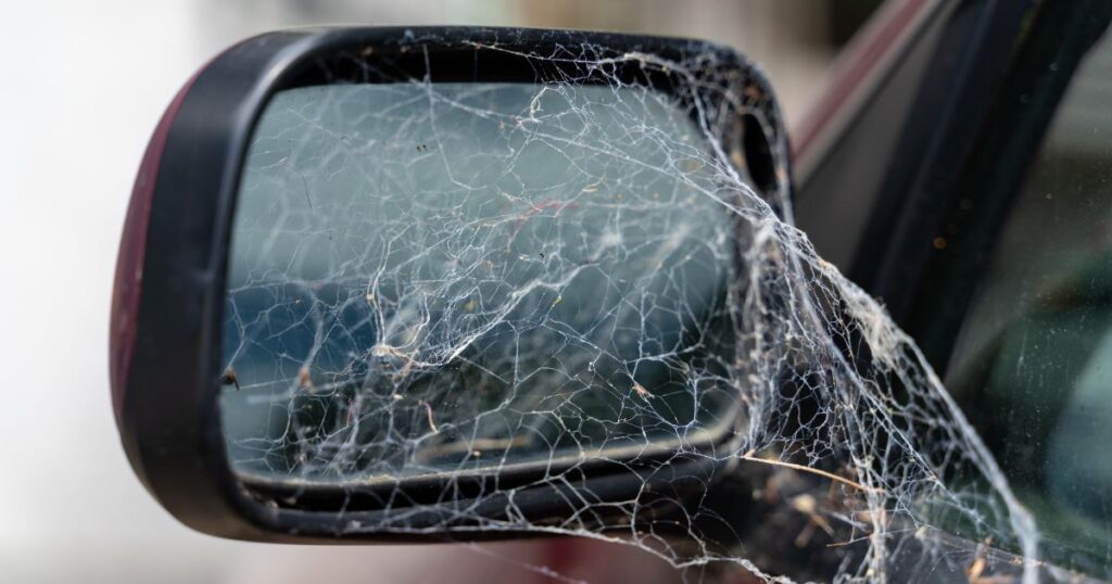 Effrayée par une araignée,