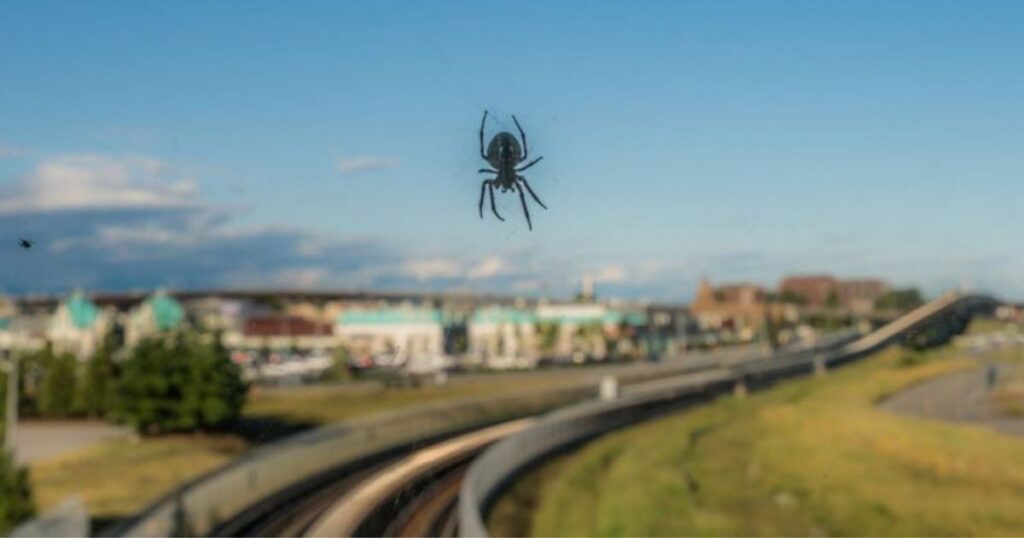 Effrayée par une araignée,