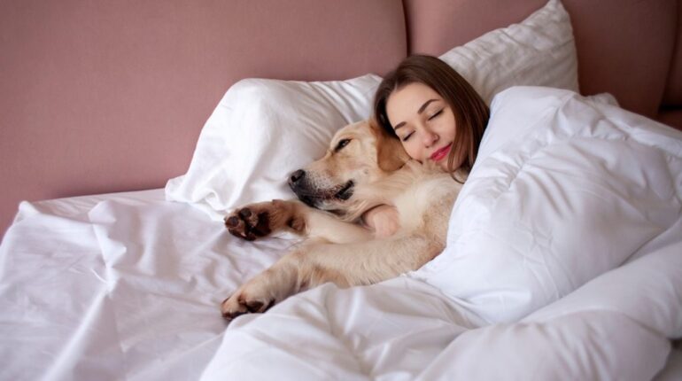 Découvrez ce que cache vraiment l’envie de votre chien de dormir avec vous allergie amour attachement chaleur chien confiance couchage dormir maître meute préférences relation sécurité sommeil stress