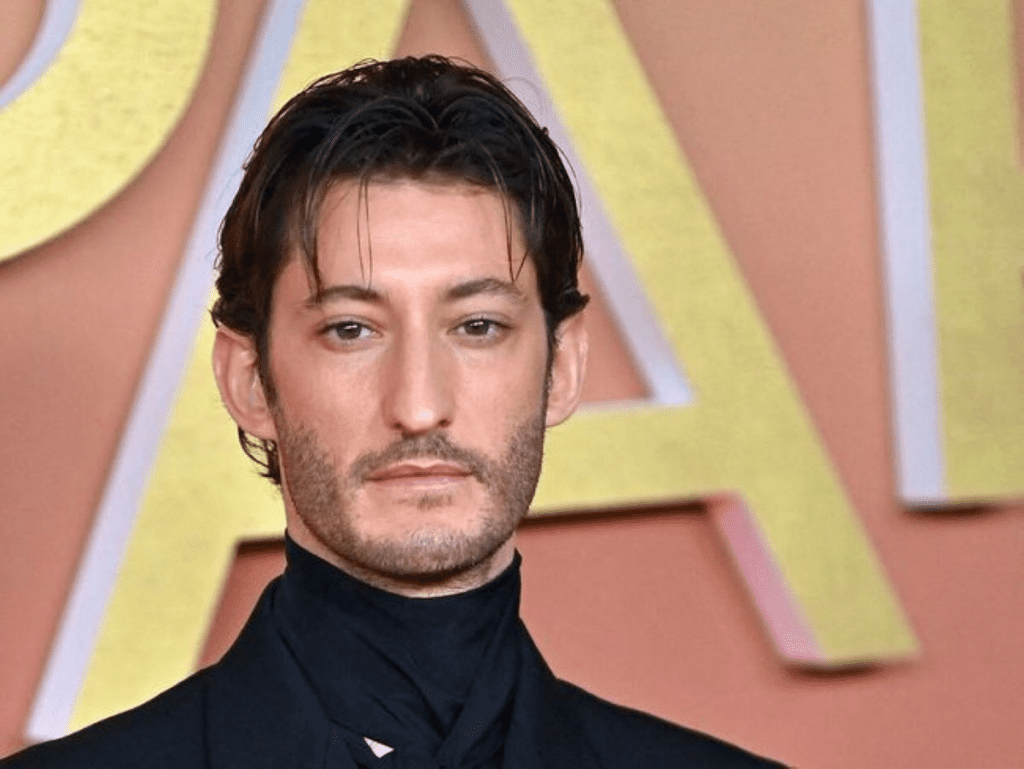 Pierre Niney critiqué à