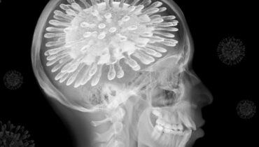 cerveau Cognition covid-19 Ministère de la Santé pandémie Vieillissement
