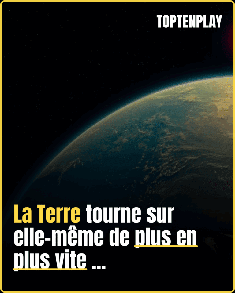 23232196-957d-4282-96c6-e07bb8baf914