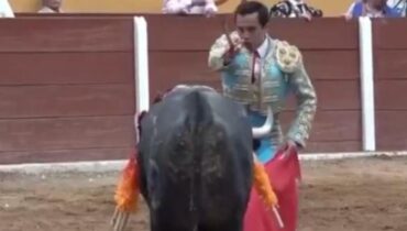 Torero mexicain encorné au rectum : « Son baptême du sang après 5 ans sans blessure »