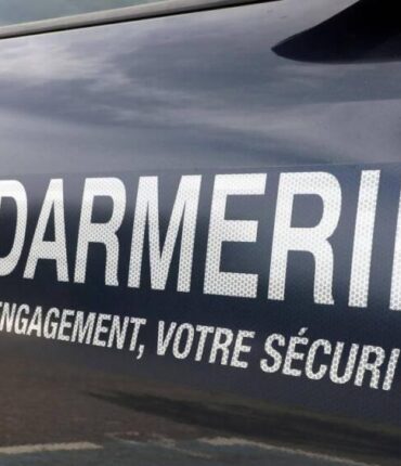 300 km après l’avoir oubliée sur une aire d’autoroute : ce détail inattendu qui a tout changé
