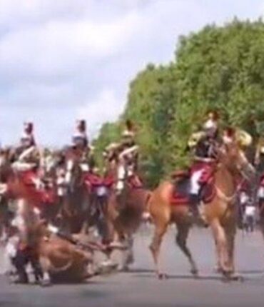 Le moment où tout a basculé pour ce cheval de la Garde républicaine sous les caméras du 14-Juillet