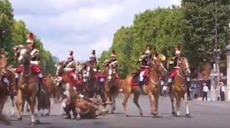 Le moment où tout a basculé pour ce cheval de la Garde républicaine sous les caméras du 14-Juillet 14-Juillet Chevaux Défilé faits divers Garde républicaine