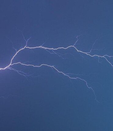Elle s’abrite sous un arbre pendant l’orage : ce qui lui arrive à 52 ans va vous glacer le sang